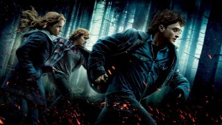 Harry Potter and the Deathly Hallows Part 1 (2010) Full Movie - HD 1080p