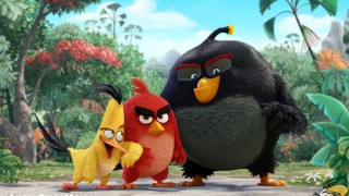 Angry Birds (2016) Full Movie - HD 1080p BluRay