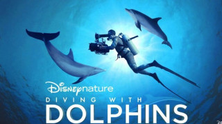 Diving with Dolphins (2020) Full Movie - HD 720p