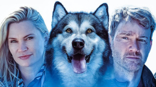 Hero Dog: The Journey Home (2021) Full Movie - HD 720p