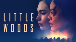 Little Woods (2018) Full Movie - HD 720p