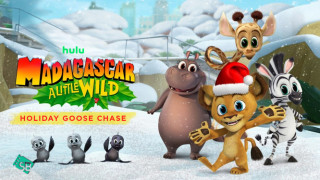 Madagascar: A Little Wild Holiday Goose Chase