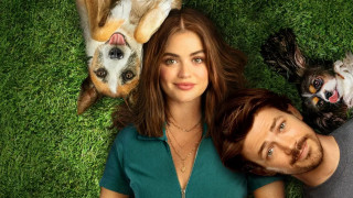 Puppy Love (2023) Full Movie - HD 720p