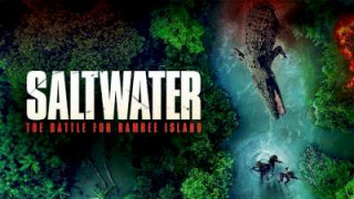 Saltwater: The Battle for Ramree Island (2021) (2021) Full Movie - HD 720p