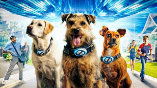 Space Pups (2023) Full Movie - HD 720p