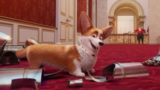 The Queen's Corgi (2019) Full Movie - HD 1080p BluRay