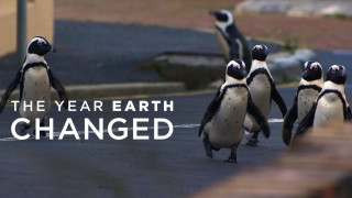 The Year Earth Changed (2021) Full Movie - HD 720p