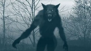 the bray road beast (2018) Full Movie - HD 1080p